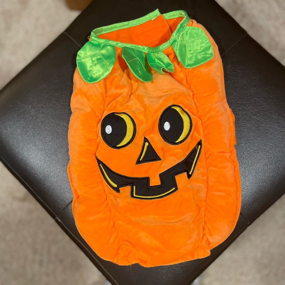 Dog Pumpkin Costume - Picture 3 of 5